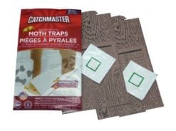 Catchmaster Pantry Moth Trap Delivered