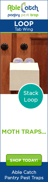 Tab Wings - Stack Loop or Clasp Loop