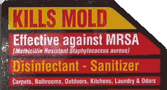 Kill Mold
