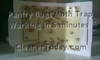 Pantry Bugs Moth Trap Picture