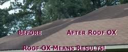 Shingle Roof Mold Cleaner OX 1500 2