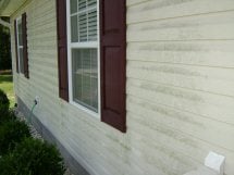 Before Siding Cleaner