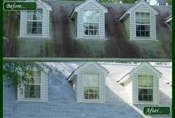 Roof Cleaning Results Photo