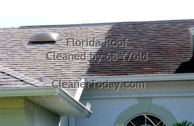 Roof Cleaning Photo