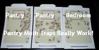 Pantry Moth Traps Picture Fort Worth