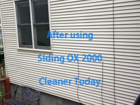 After Siding Cleaning