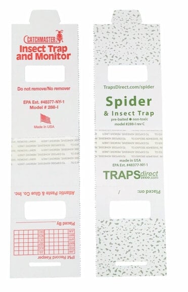 15 Spider Traps | Delivered 1