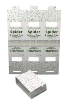 Spider Traps