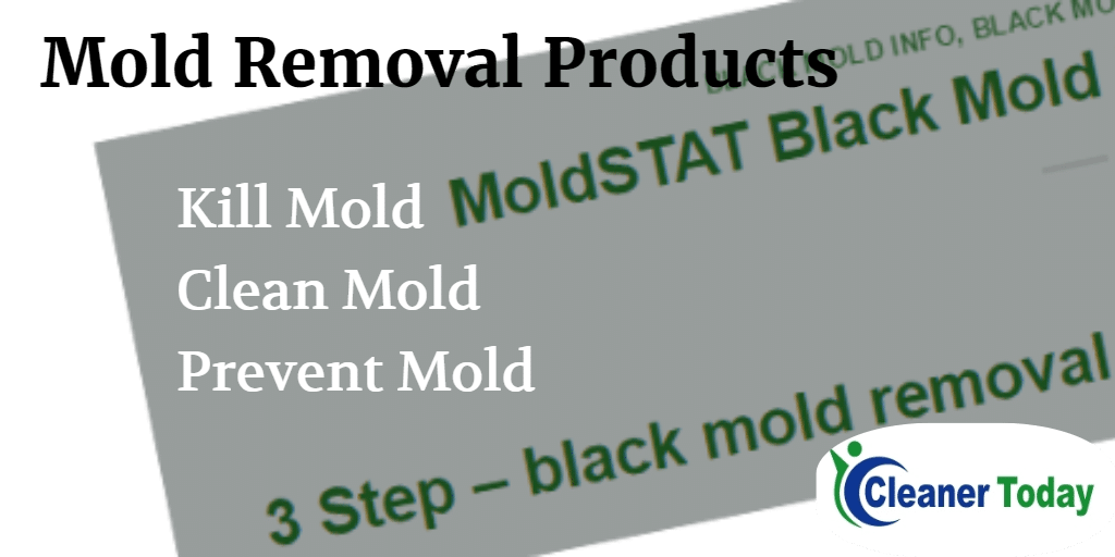 black mold removal products clean kill prevent