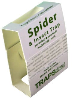 36 Spider & Insect Traps Direct 288i 6
