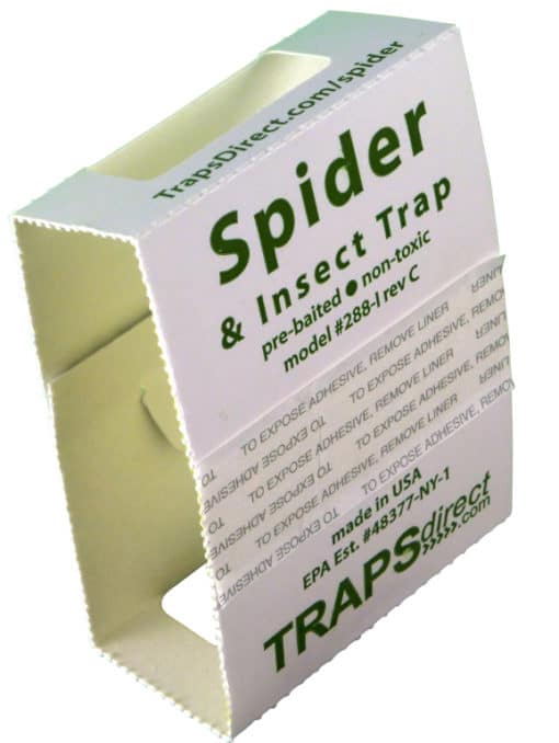 72 Spider Traps 2