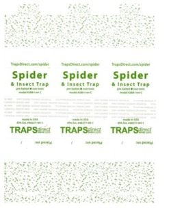 Sheet of 3 spider traps