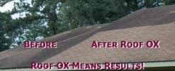 Remove Roof Mold with Roof Cleaner OX