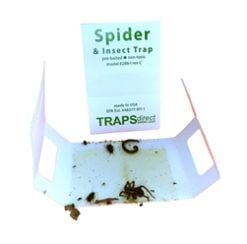 18 Spider Traps Direct 288i 4