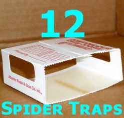 Spider and Insect Traps