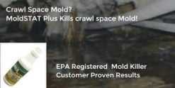 MoldSTAT Plus Crawl Space Mold_s