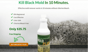 MoldSTAT Plus Quart Black Mold Killer