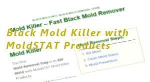 black mold killer